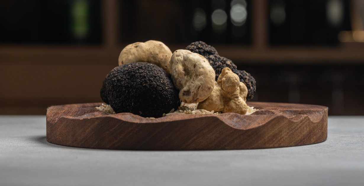 Truffle Tracker — Find Fresh Truffles in NYC Restaurants